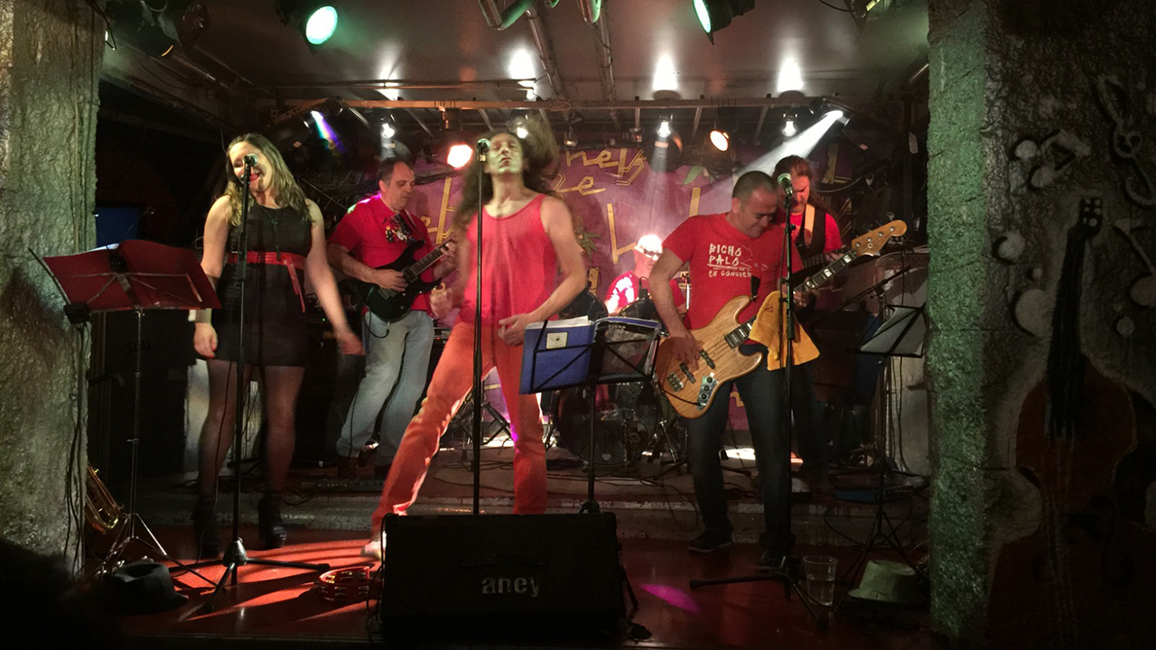 Homenaje a Bicho Palo Rock (2009-2017)