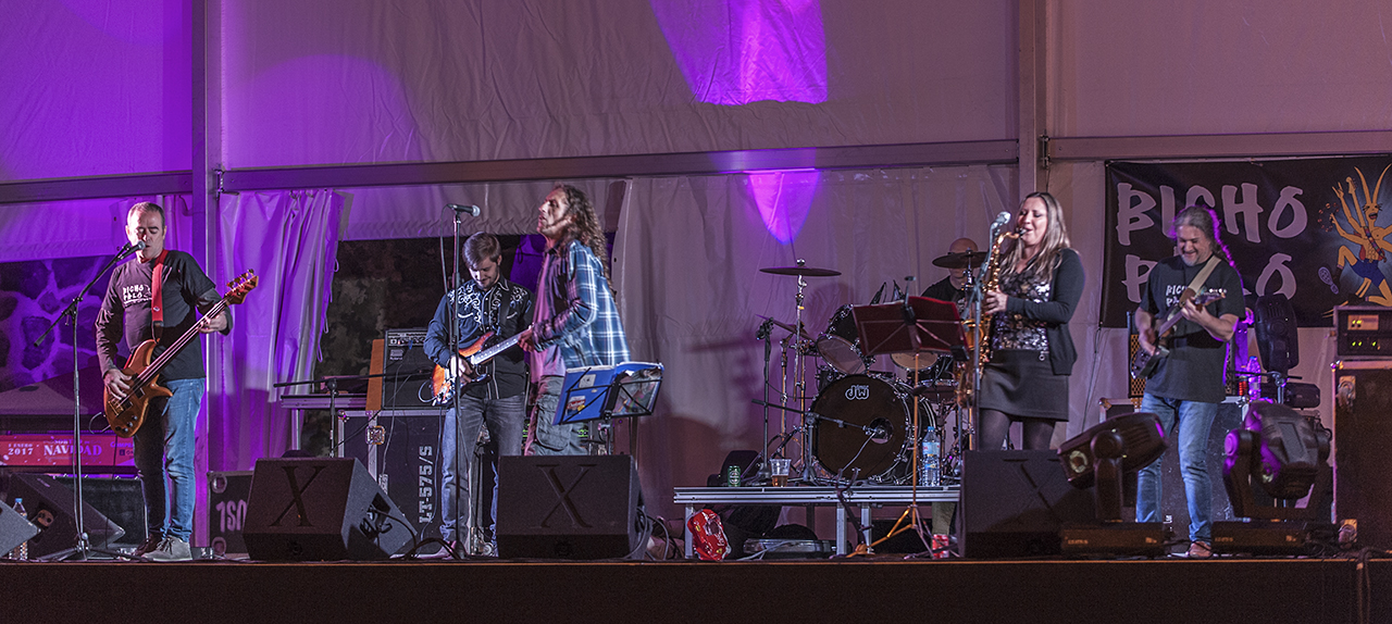 Homenaje a Bicho Palo Rock (2009-2017) 3