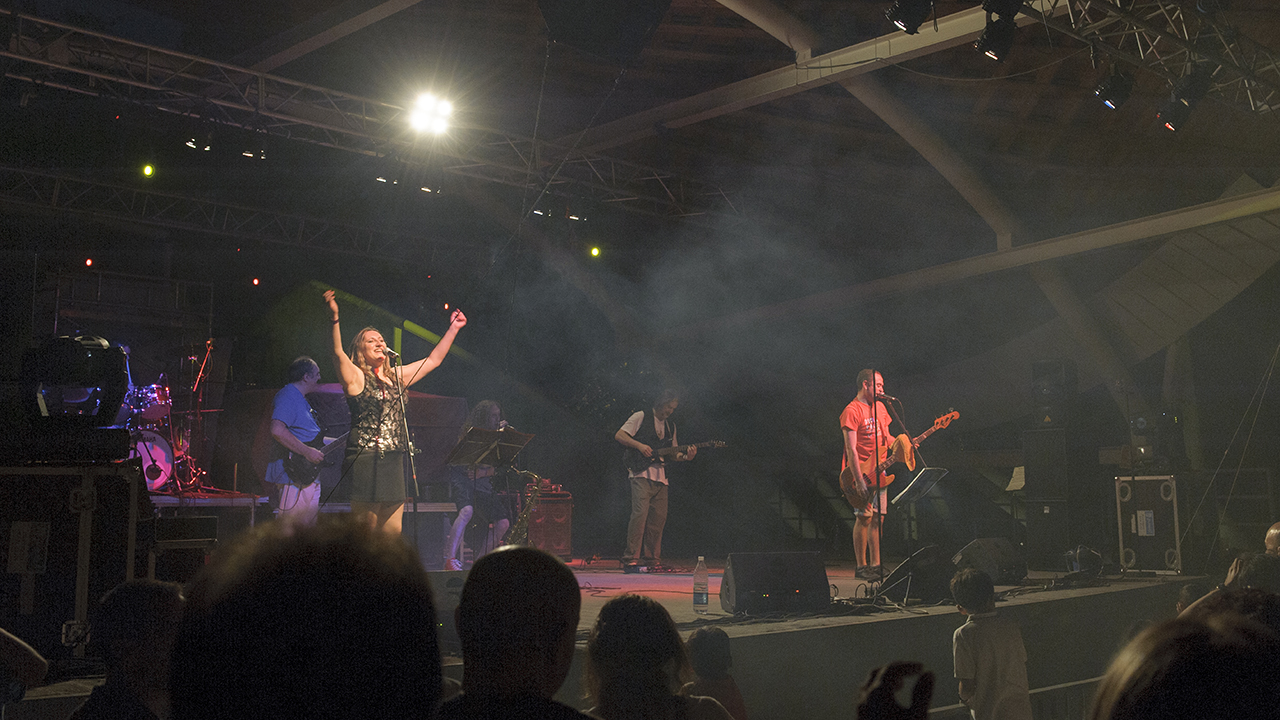 Homenaje a Bicho Palo Rock (2009-2017) 4